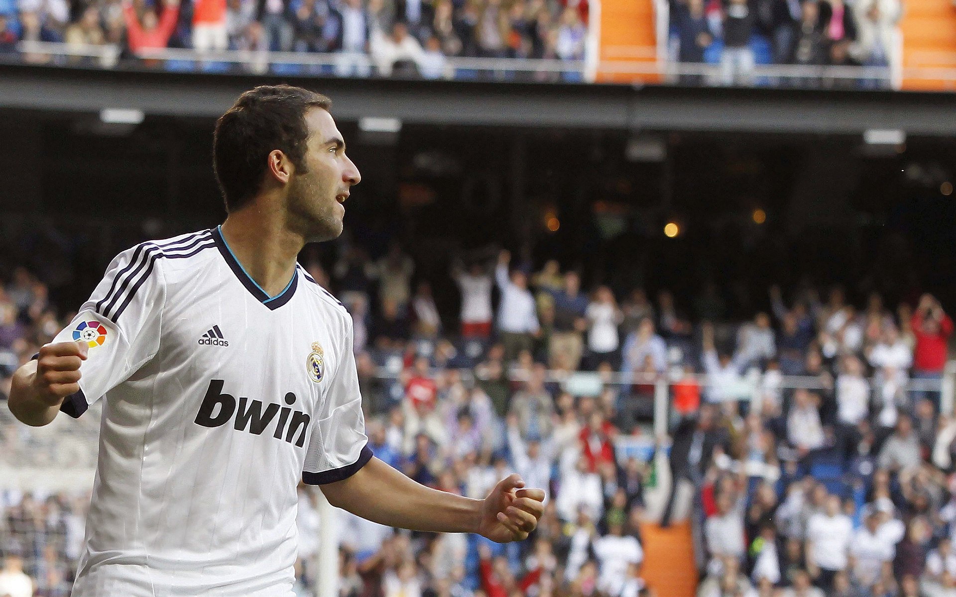 开云体育登入口-赛事亮点：冠军之路的艰难历程，冠军之路是什么